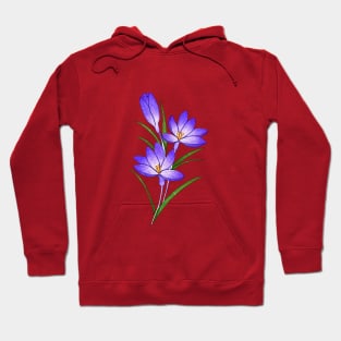 Crocus flower watercolor painting Hoodie